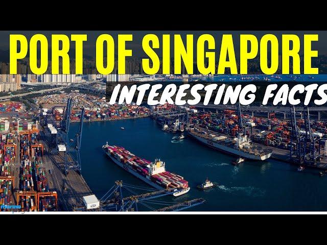 PORT OF SINGAPORE - Interesting Facts #singapore #singaporeport #PSA