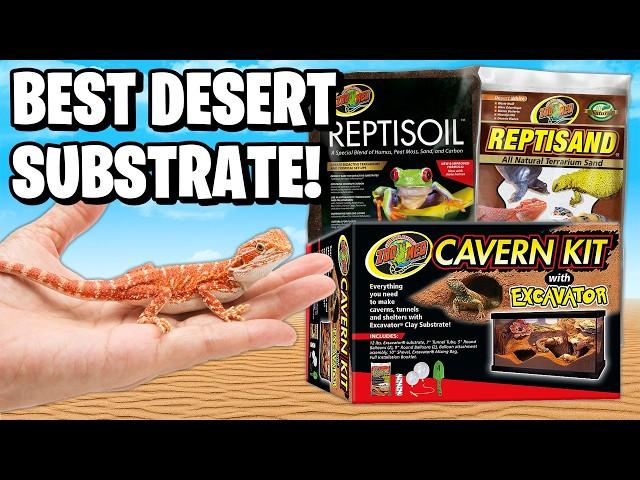 Best Substrate for Desert Reptiles!