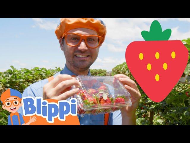 Strawberry Picking with Blippi | Blippi Visits Tanaka Farm | Healthy Eating | Educational Videos