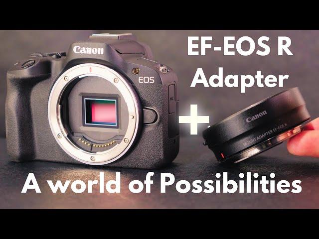 Canon EF-EOS R Mount Adapter for Canon R Mirrorless Cameras REVIEW + Maximize EF EF-S Lenses!