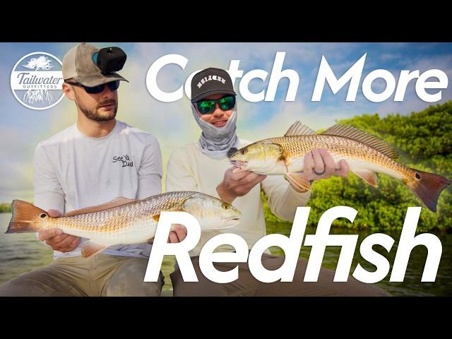 Cut Bait for Redfish: The Ultimate Guide