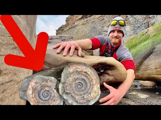 The LAST Fossil We Expected To Find HERE!
