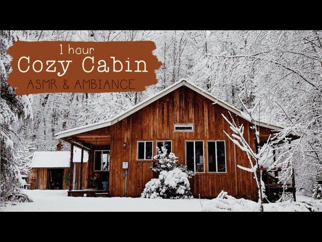 1 Hour of Cozy Cabin ASMR & Ambiance - crackling fires, bird song, babbling brooks, & winter winds