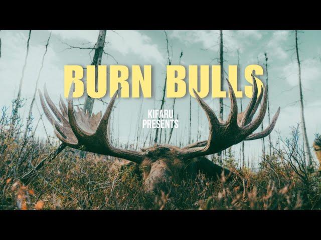 BURN BULLS - 2 GIANT ALASKAN MOOSE