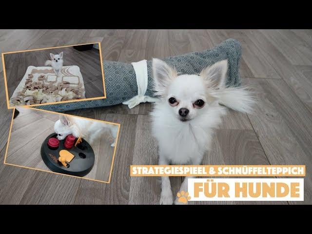 Strategiespiel Flip Board & Schnüffelteppich | Hund zu Hause beschäftigen 