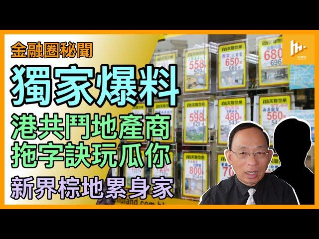 獨家-地產商擁新界棕地欲建屋 突被改用途揼波鐘｜縱使賤賣農地也關卡重重｜特區共同富裕趨勢 一眾富豪睇路!［金融圈秘聞 EP168］