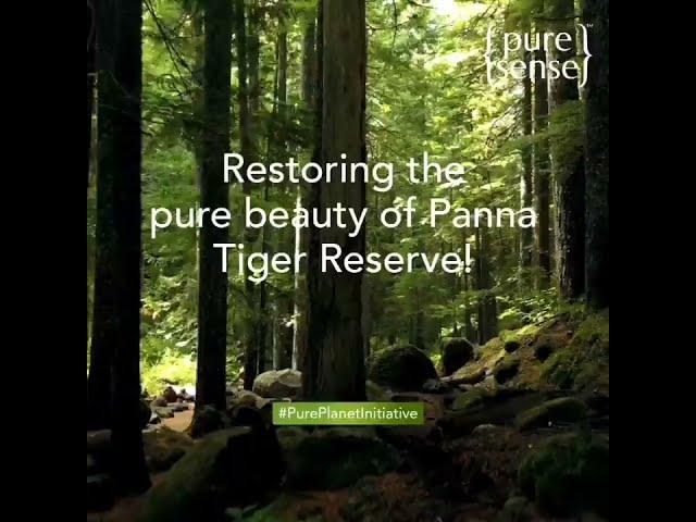 Pure Sense - #PurePlantInitiative #2
