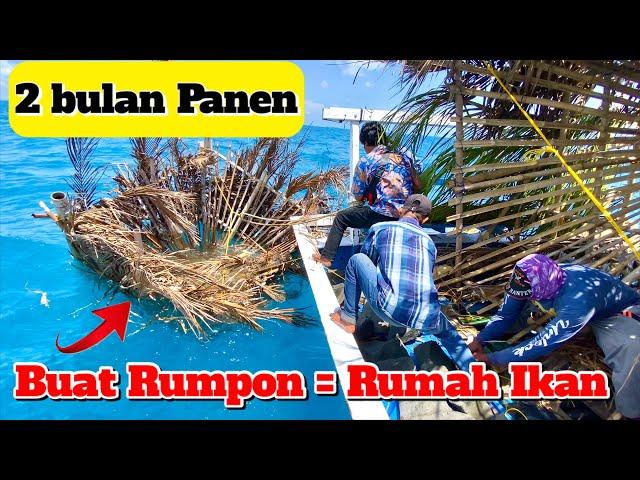 CARA BUAT RUMPON IKAN KAKAP MERAH - 2 BULAN PANEN - DIJAMIN‼️