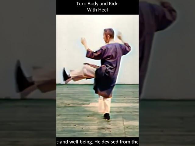 Section of Kicks performed in FULL COLOUR - Cheng Man Ching Short Form