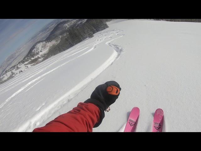 Skiing Powder in Utah's Wasatch