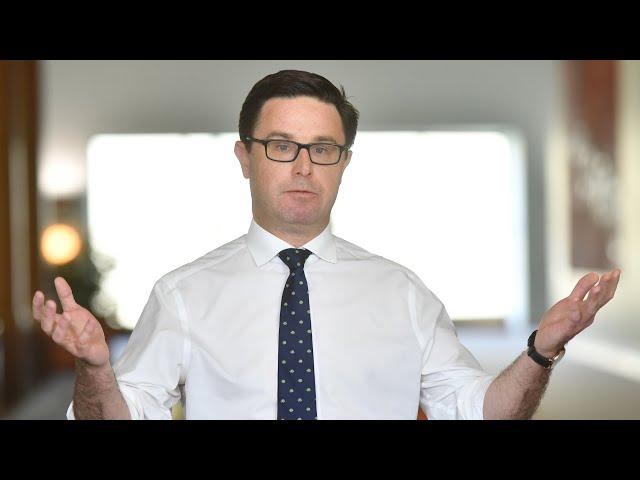 David Littleproud promises Nationals rebrand