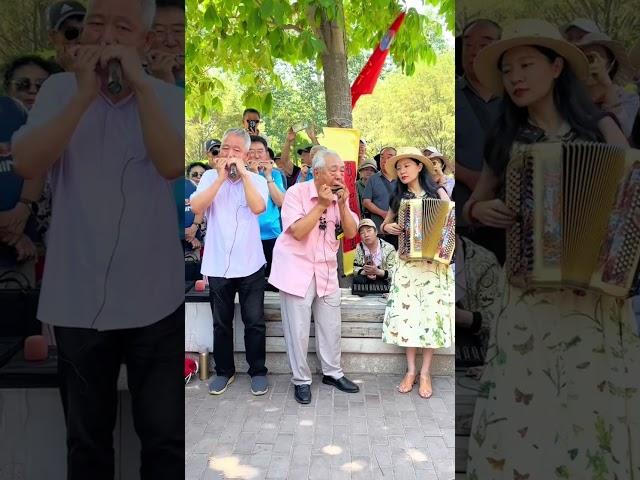 《快乐女战士》送给闪闪发光的你们！#手风琴演奏家公园盘大爷  #搞笑 #李楚然 #艺术 #音樂 #音乐演奏