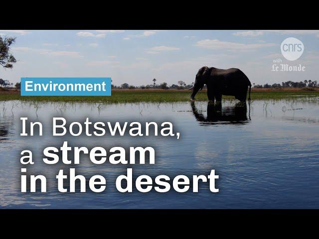 A Stream in the Desert | CNRS in English