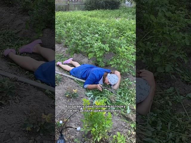 А вы пропололи уже картошку? #деревня #дача #садоводничество #огород #частныедома #сад #garden
