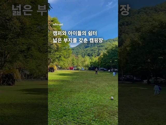 넓은 잔디 광장과 우거진 나무들이 매력적인  강원 원주 '치악신림오토캠핑장' #camping #캠핑장추천 #쇼츠 #shorts