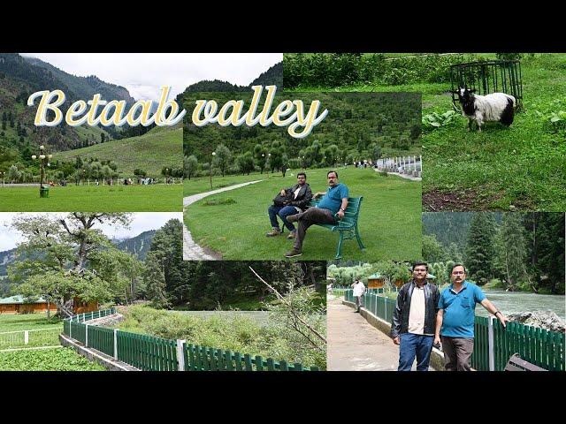 Betaab Valley | Exploring Pahalgam - Anantnag- Kashmir in summer / Places to explore in kashmir