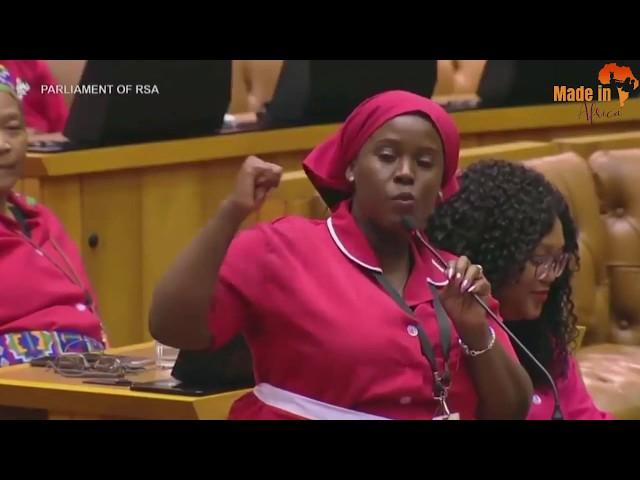 EFF vs Deputy Speaker - Funniest Thing ever in Parliament