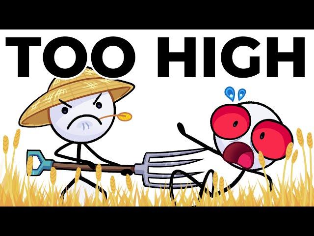 Too High on the Farm