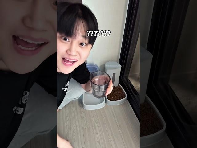 고양이 카페 놀러오실 분?!?