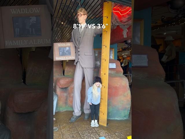 TINY TEXIE VERSUS THE TALLEST MAN IN THE WORLD! #TINYTEXIE #TALL #SMALL #VIRAL #LITTLEPERSON #SHORTS