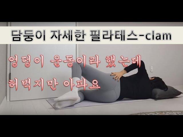 [담둥이 자세한 필라테스] 꺼진 엉덩이, 모이는 무릎엔 클램이죠!