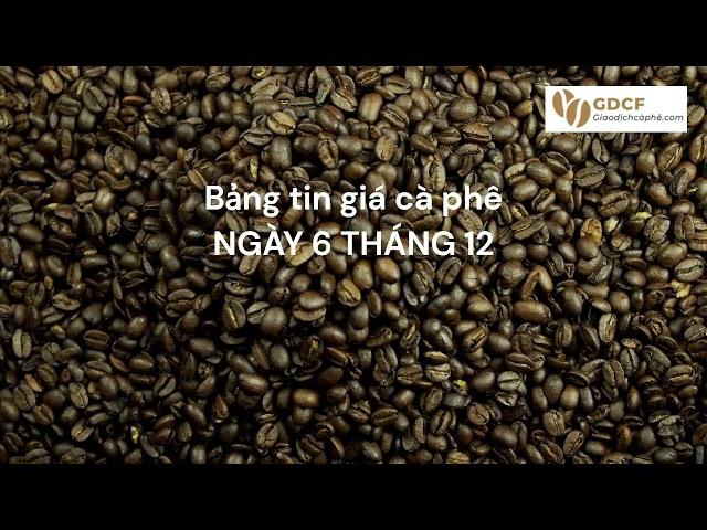 Giá cà phê hôm nay ngày 6 tháng 12 giaodichcaphe