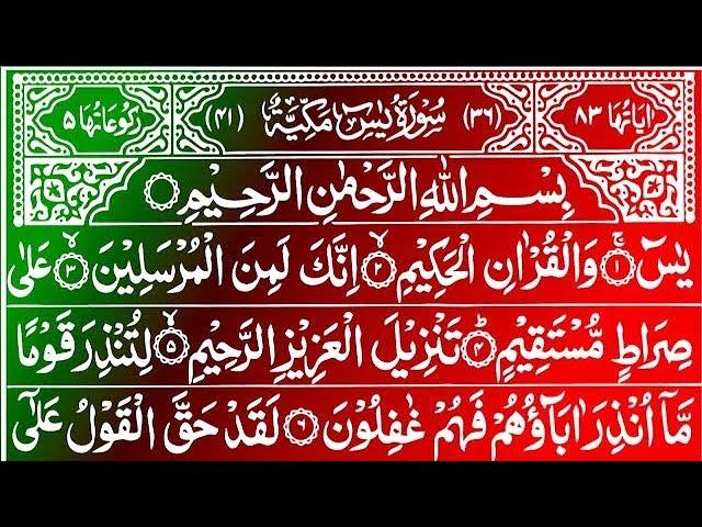 LIVE Surah Yaseen || Qur'an Recitation || Surah Rahman || Surah Yasin full || Best Quran Tilawat