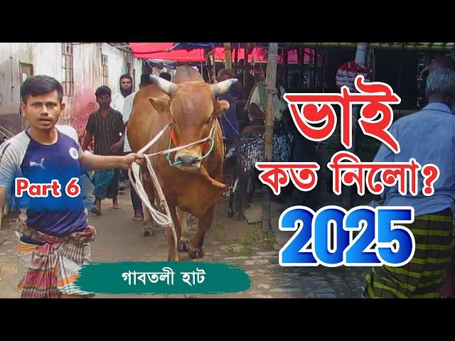 Bhai Koto Nilo 2025 | Gabtoli Gorur Haat | Qurbani Cow Price 2025 | Gorur Haat Update, Part 06