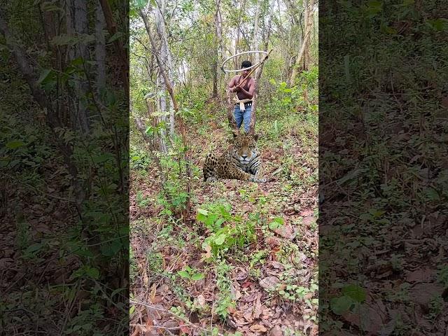 Jaguar Catching #trending #tikan #shortvideo #youtube