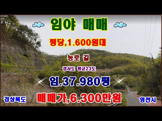 물번,474번) 임야,37.980평 평당,1.600원대 1.200만원 대폭 내린 6.300만원에 급 매매합니다 사정이 생겨서 ~ 주위에 논이 많이 있어서 농로 길 있습니다초 급매매