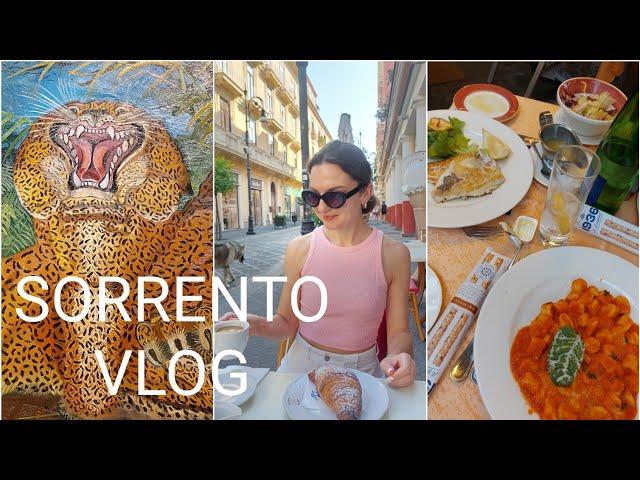 Italy VLOG. Сорренто, итальянский завтрак, выставка Антонио Лигабуе, ужин, закат ️