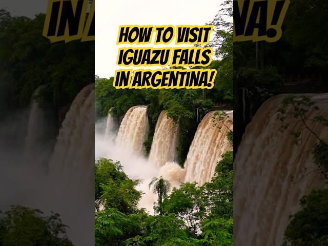 How to Visit the ARGENTINE Side of IGUAZU FALLS (Parque Nacional Iguazu) #argentina #iguazufalls