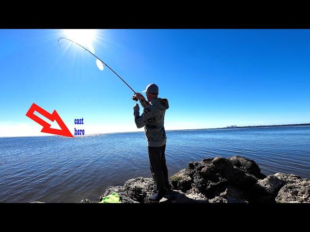 This Underrated Jetty was Loaded with Fish