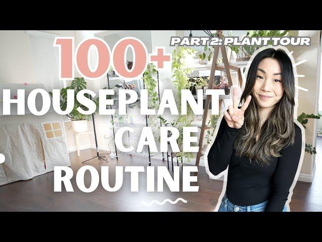 How I Care for 100+ Houseplants PART 2 | Plant Chores | Houseplant Care Routine + Tips | VLOG