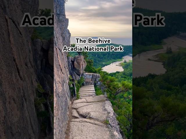 Beehive in Acadia—have you visited? #acadianationalpark #maine #travel #hiking #usa #ytshorts