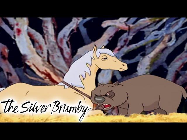 The Silver Brumby | The Capture Of Thowra | HD | Full Episode | Videos For Kids