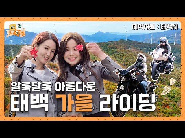 할리 × BMW | 태백 단풍여행 다녀왔어요 | 물닭갈비  | Autume Korea