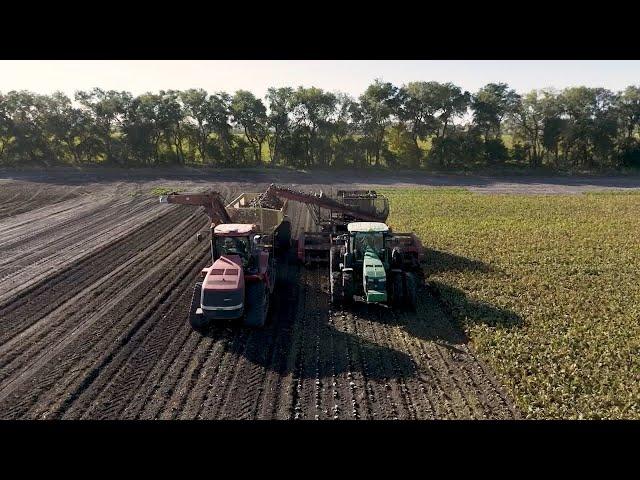 AgweekTV: Sugarbeet Harvest with ECO - Sponsored Content