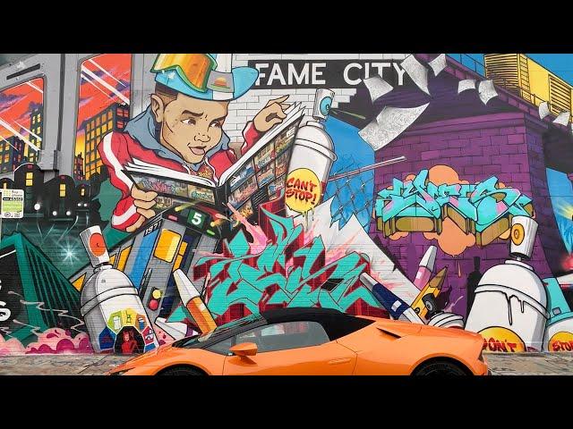 Wynwood Miami Graffiti * 1 Hour Walking Tour