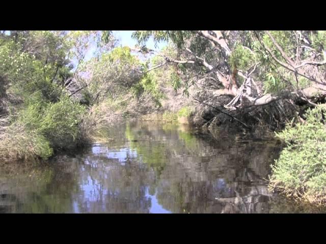 Estuaries of the Northern Agricultural Region, Western Australia