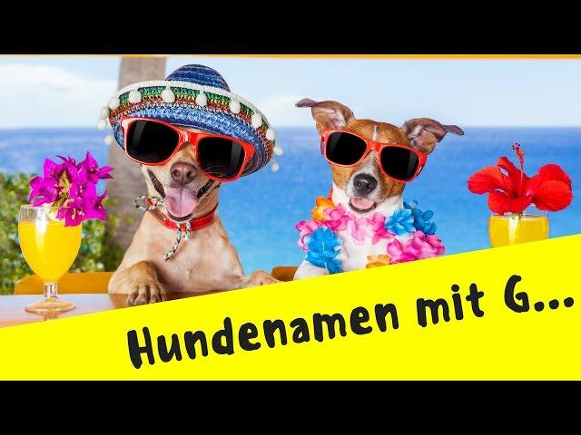 Hundenamen mit G  Tipp vom Hundefreund