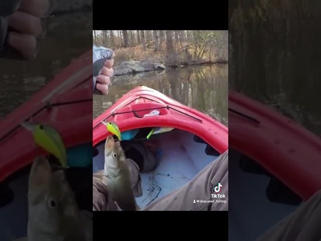 Kayak bass fishing. #bassfishing #fishing #kayakfishing #academy #kayakbassfishing #outdoors