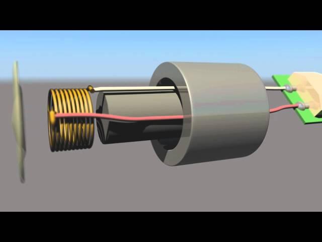 MUS 493 - Dynamic Microphone - Exploded View