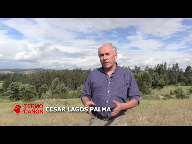 TERMO CAÑON - ECONOMIA PARA TU HOGAR