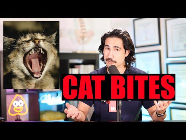 CAT BITES CAN BE DANGEROUS!  Doctor Explains #cat #catbite #cats