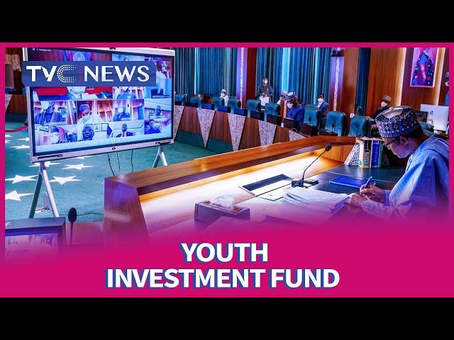 Nigerian Youth Investment Fund Approved