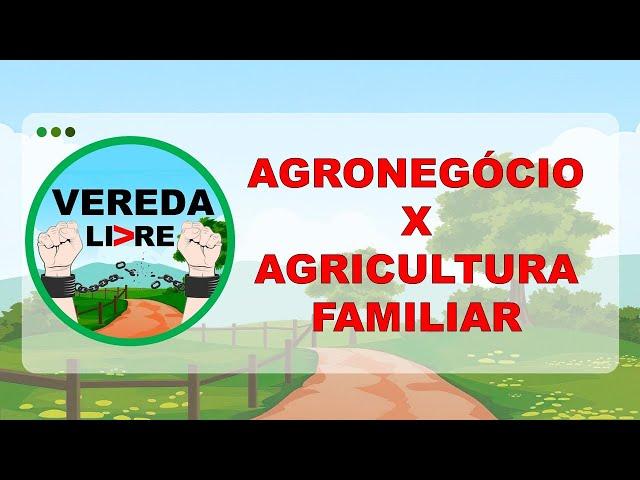 AGRONEGÓCIO X AGRICULTURA FAMILIAR