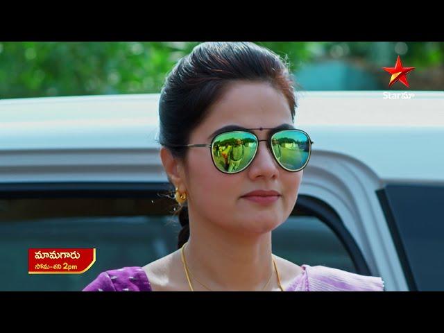 Mamagaru - Promo | 13th Dec 2024 | Star Maa Serials | Mon-Sat at 2 PM | Star Maa