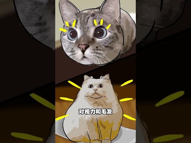 猫咪可以吃哦 #抖音原创动漫 #猫咪 #猫咪的迷惑行为 #轻漫计划 一口小鸭梨