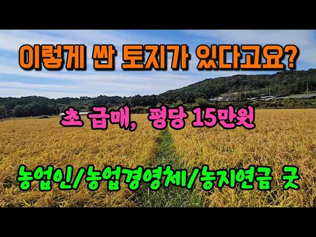 넓은 면적 땅값 싼 양평 토지 땅 농지 매매 매물 급매 급매매 급매물/양평군 개군면